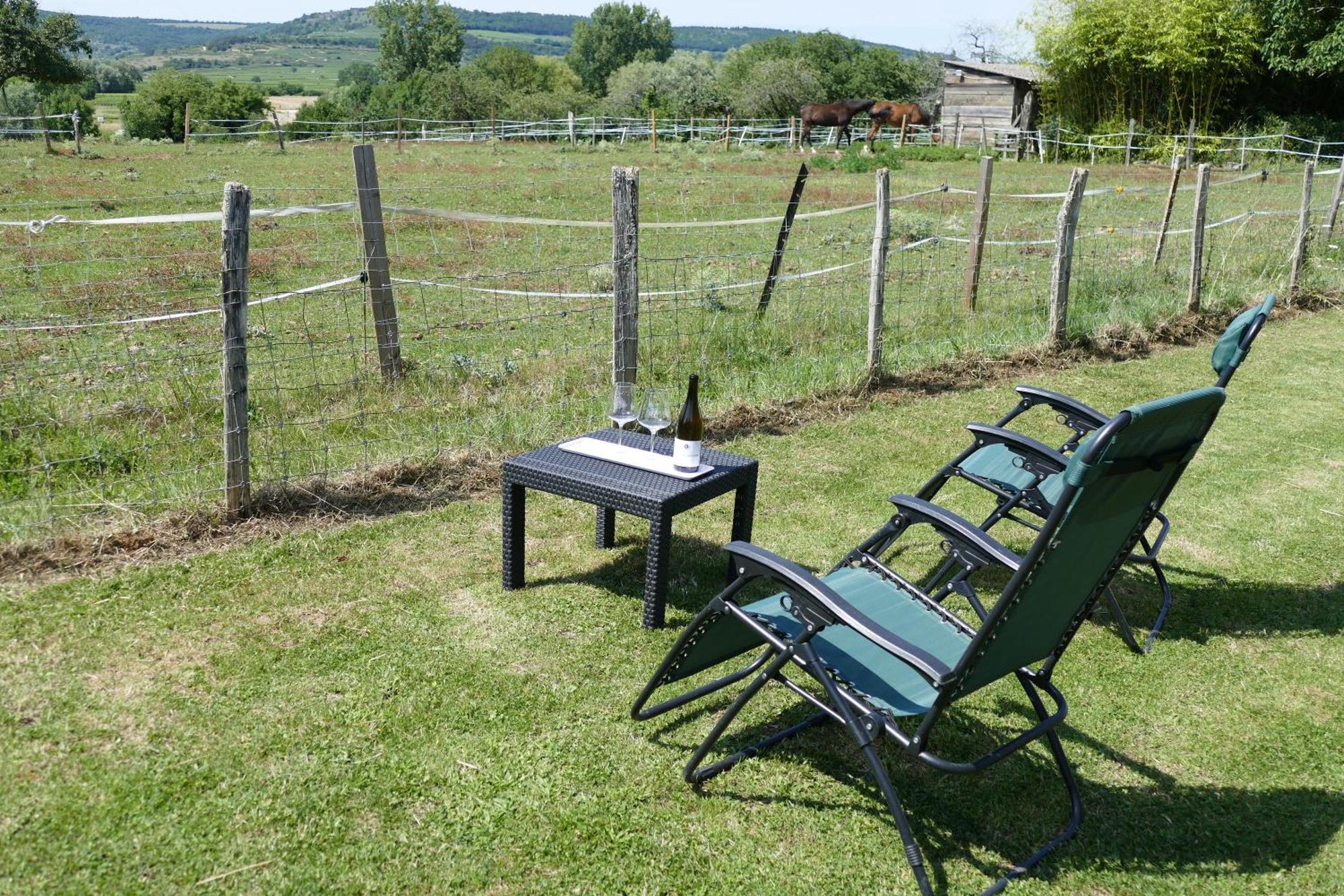 Les Grands Crus - Gite "Meursault" Corpeau Esterno foto